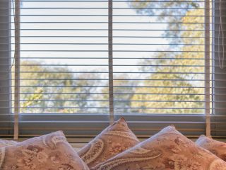 Explore the versatility of mini blinds as they adorn a cozy living room, offering optimal light control and privacy.